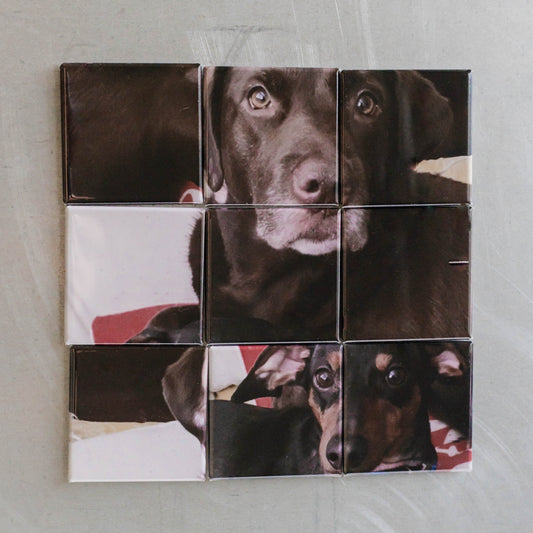 Puzzle Magnets