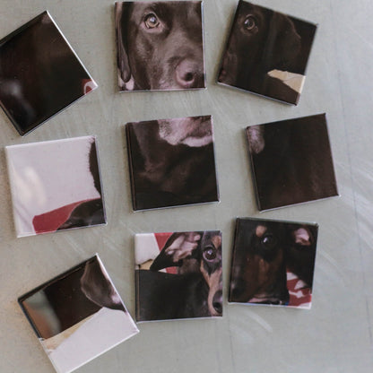 Puzzle Magnets